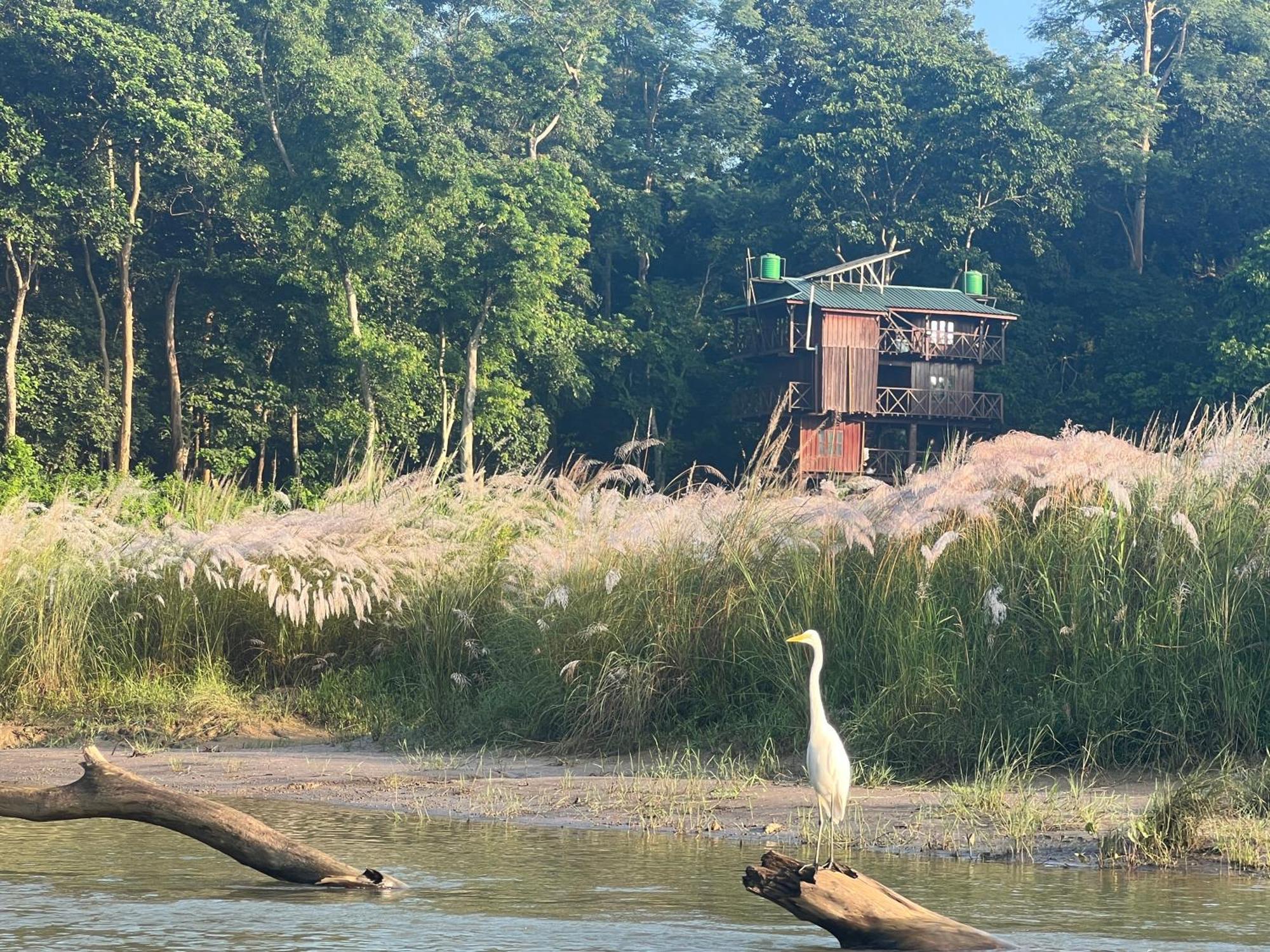 Hotel Chitwan Park Village Sauraha Exteriör bild